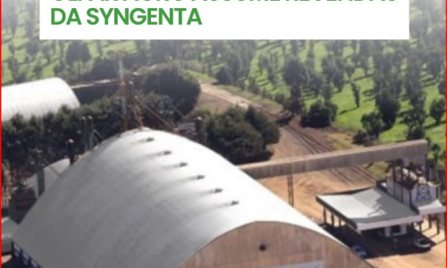 Com história à la 3tentos, Olfar Agro assume revendas da Syngenta